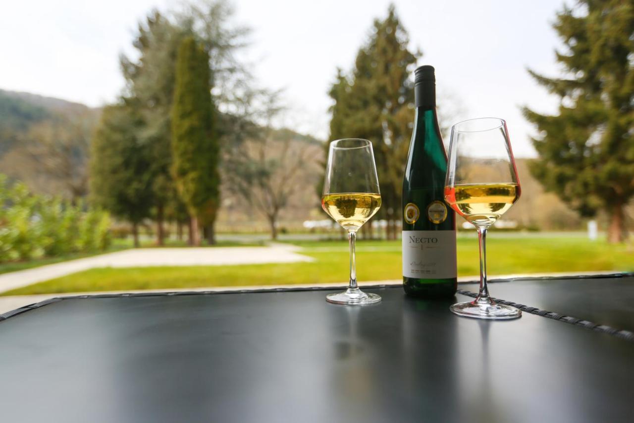 Appartamento Rieslingresidenz Traben-Trarbach Esterno foto